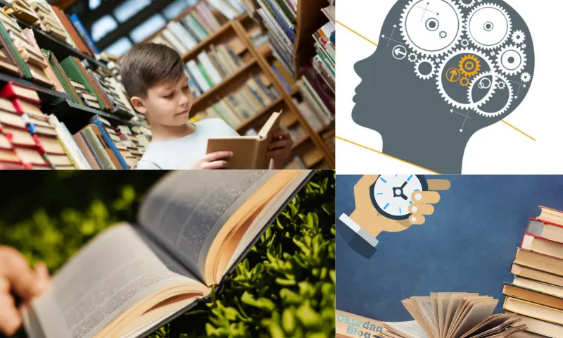 Speed Reading Program Nedir?