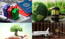 Kira Hukuku Davalarının Kapsamı