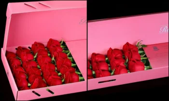 RoseBox Güllerinin Diğer Güllerden Farkı Nedir?