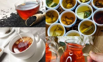Çayın Tarihi ve Kültürel Önemi