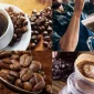 Filtre Kahve: Lezzetli Bir Uyanışın Anahtarı