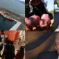 ANTALYA HABER SON DAKİKA HABERLERİ İÇİN NİTELİKLİ SİTELER