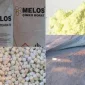 YANMAZLIK KATKISI NEDİR VE NERELERDE KULLANILIR?